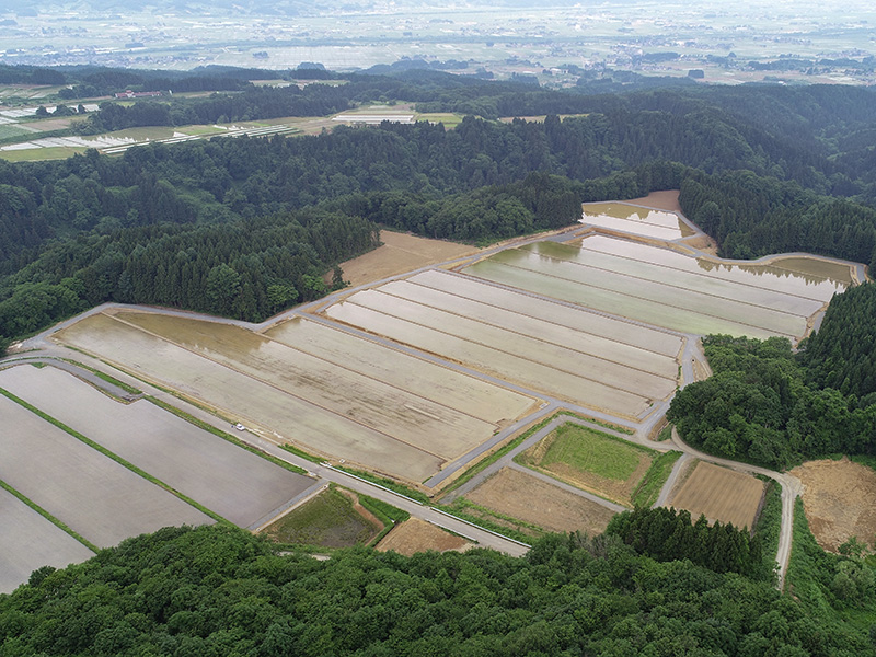 たらのきだい地区経営体育成基盤整備事業第４工区工事